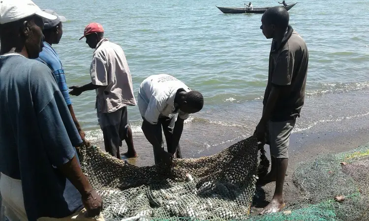 Fishermen with a good catch.